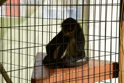 DSC_2318 (Large).JPG